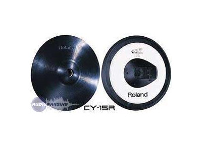 Roland CY-15R