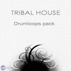 Bluezone Releases Tribal House Loops