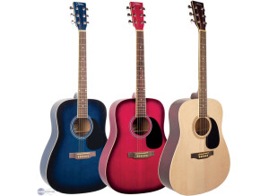 Johnson Guitars JG-608