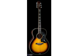 Takamine LTD2009