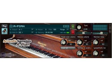 AcousticSamples A-PIAN