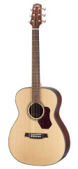 New Walden CO500 Acoustic Guitar