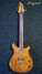 Siegmund Guitars Suspense Guitar