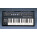 See the photo of the Roland SH-2 Roland SH-2