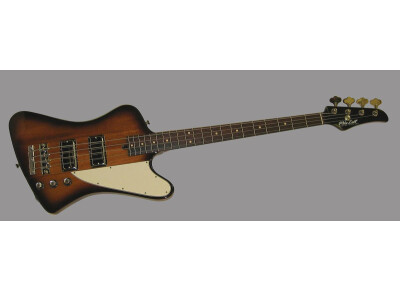 Mike Lull Custom Guitars T-Bass