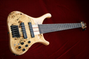 HK Instruments Custom Bass 6 Strings