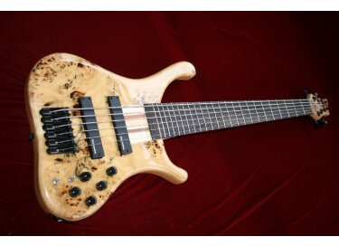 HK Instruments Custom Bass 6 Strings