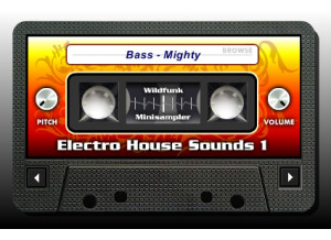 Wildfunk Electro House Sounds 1