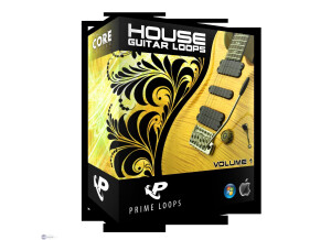 Prime Loops Guitar Loops Volume 1