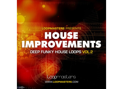Loopmasters House Improvements 2