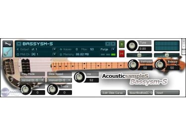 AcousticSamples BassysM-S