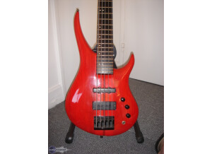 Hervé Prudent Lutherie Basse 5 cordes