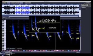 Prosoniq sonicWORX Pro