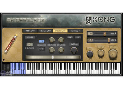 Kong Audio ChineeGuanZi