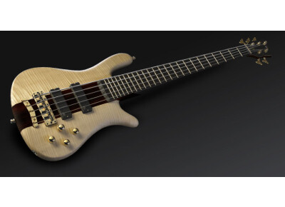 Warwick Streamer Stage I 5