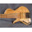 Voir la photo de la Cosme Basses MOJI HSC 6 Gaucher Custom Cosme Basses MOJI HSC 6 Gaucher Custom