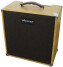 Aracom Amplifiers Vintage Rox Amplifier Series — Model VRX 22