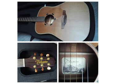 Takamine N10