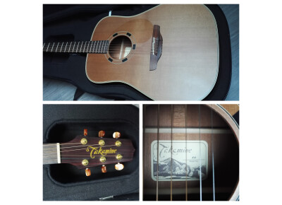 Takamine N10