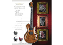 Michael Kelly Guitars Patriot Premium