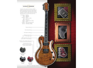 Michael Kelly Guitars Patriot Premium