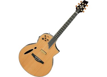 Ibanez MSC700