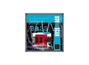 Soundscan 06-Electric & Acoustic Bass