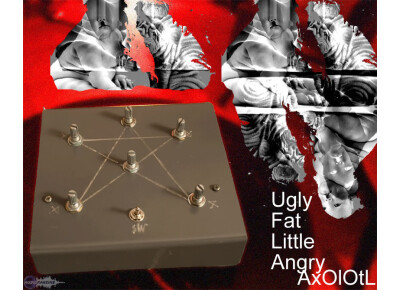 Stupid Design Axolotl