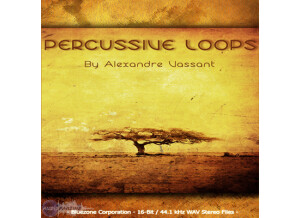 Bluezone Percussive Loops