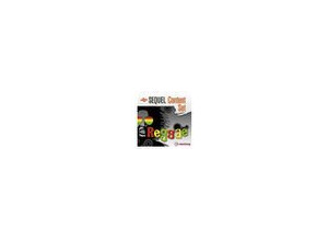 Steinberg Reggae Sequel Content Set