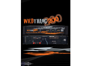 LD Systems Wildthang 200