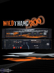 LD Systems Wildthang 200