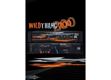 LD Systems Wildthang 200