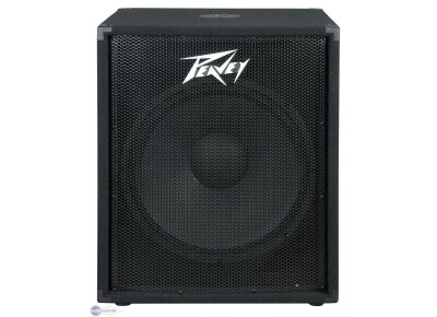 Peavey PV 118D