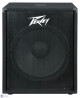 Peavey PV 118D