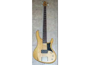 Washburn RB2000