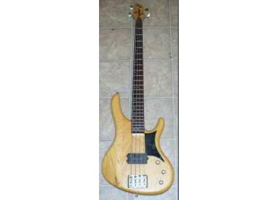 Washburn RB2000