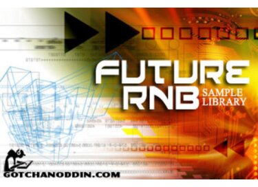Gotchanoddin' Future RnB