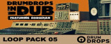 Loopmasters Drumdrops in Dub 2 Pack 5