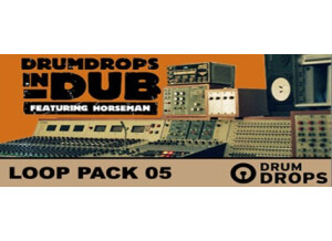 Loopmasters Drumdrops in Dub Vol. 2 Pack 5