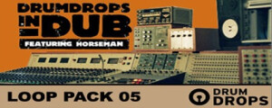 Loopmasters Drumdrops in Dub Vol. 2 Pack 5