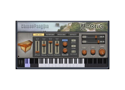 Kong Audio ChineeYangQin