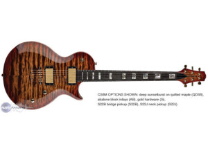 Carvin CS6 California Single Cut Carved Top
