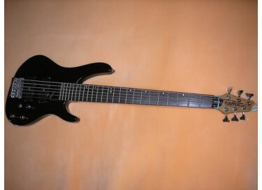 Washburn XB600