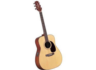 Takamine EG240