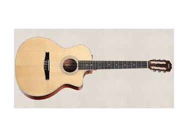 Taylor NS24ce