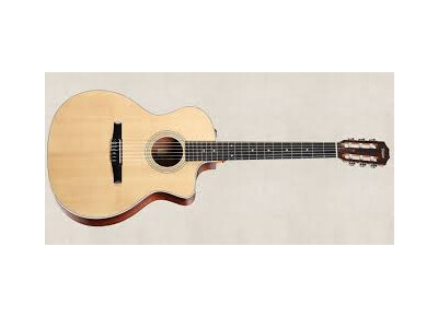 Taylor NS24ce