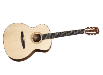 Taylor NS24