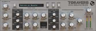 D16 Group Toraverb Space Modulated Reverb