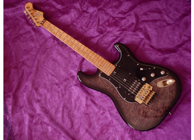 Lâg Collector's Stratocaster